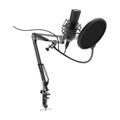 Ritmix RDM-180 студийный микрофон