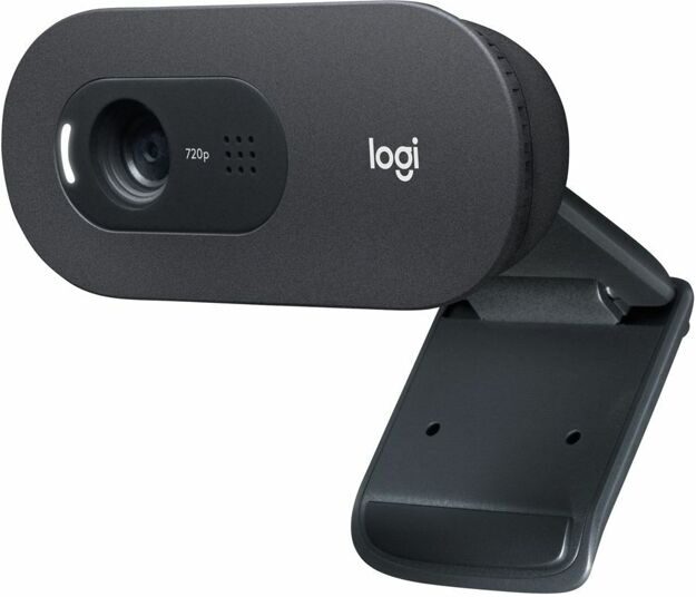 Web-камера LOGITECH WebCam C505e, черный OEM [960-001372]