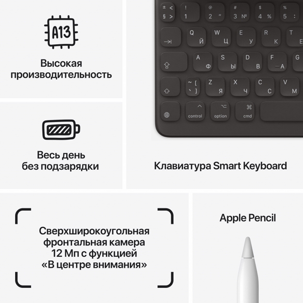 Планшет Apple iPad 10,2" (2021) Wi-Fi 256 ГБ, серебристый